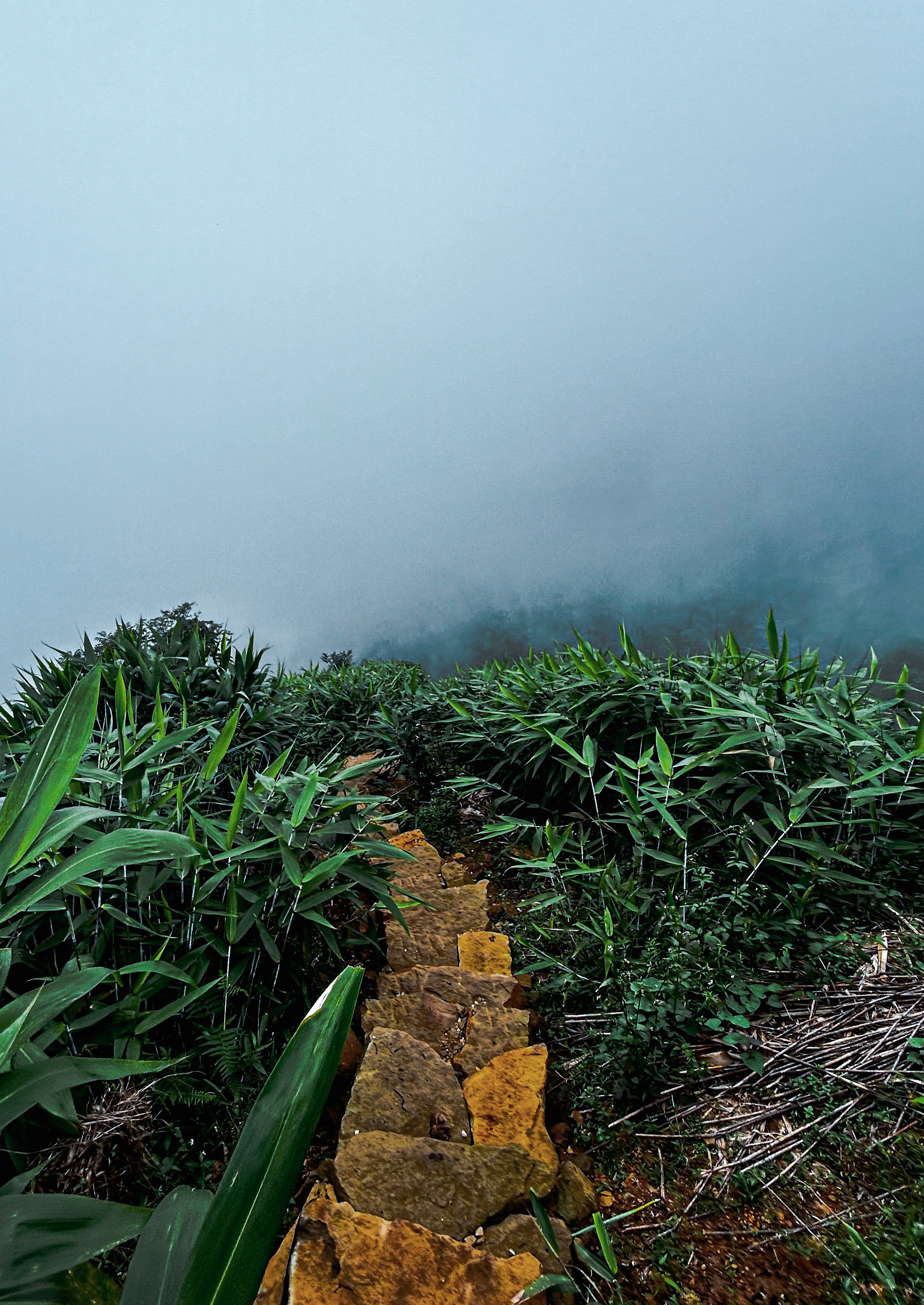 Photography by Amit Bhitria